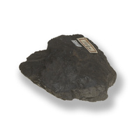 M 07481
<br/>
<br/>
<em></em>